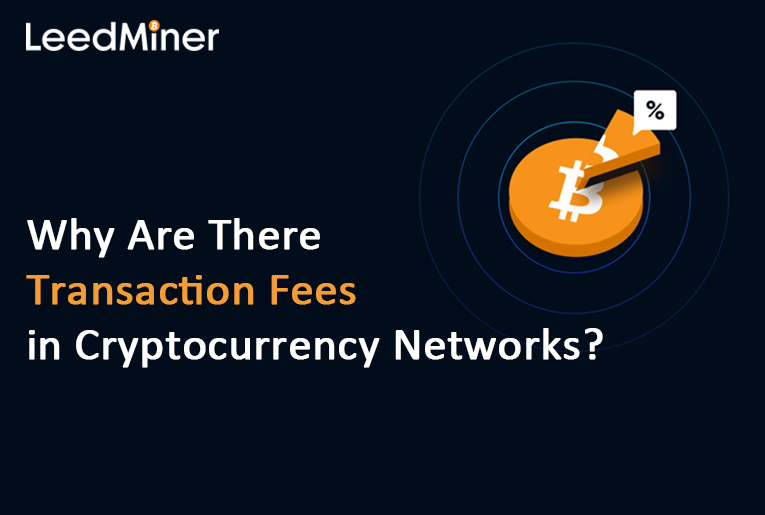 Why Are There Transaction Fees in Cryptocurrency Networks?